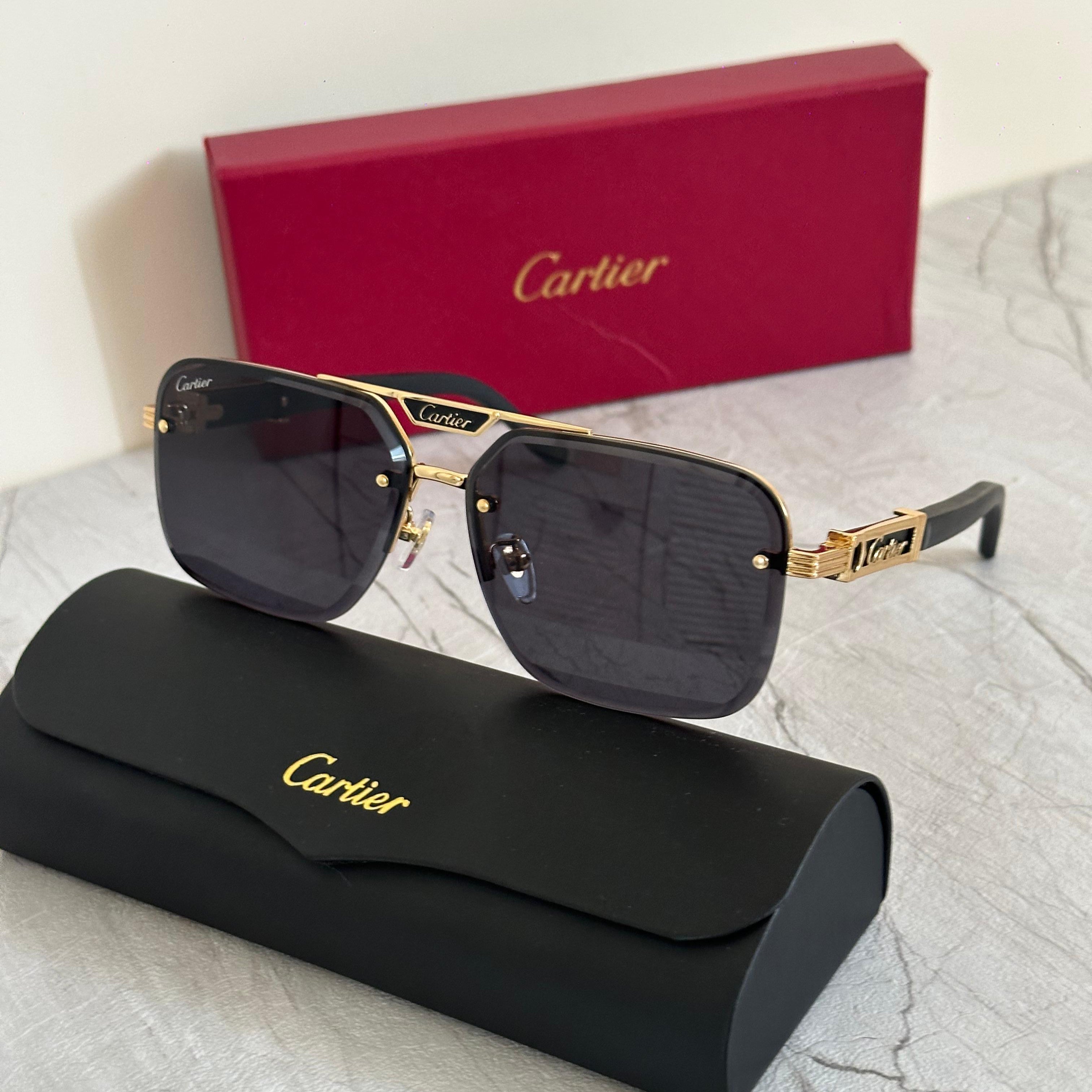 Cartier CT0398O Santos de Cartier Sunglasses