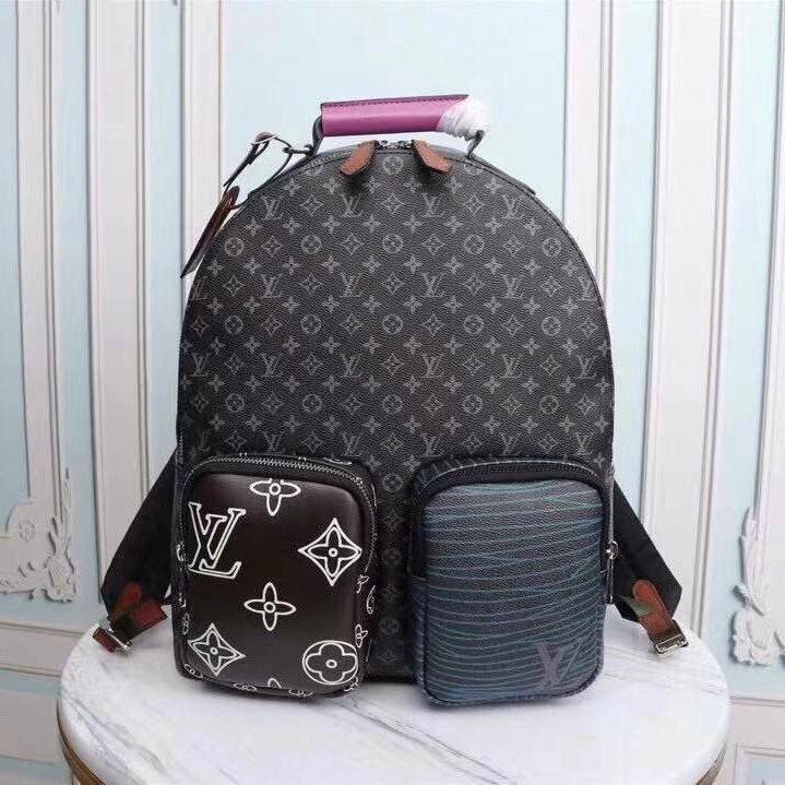 Louis Vuitton Packback Bag
