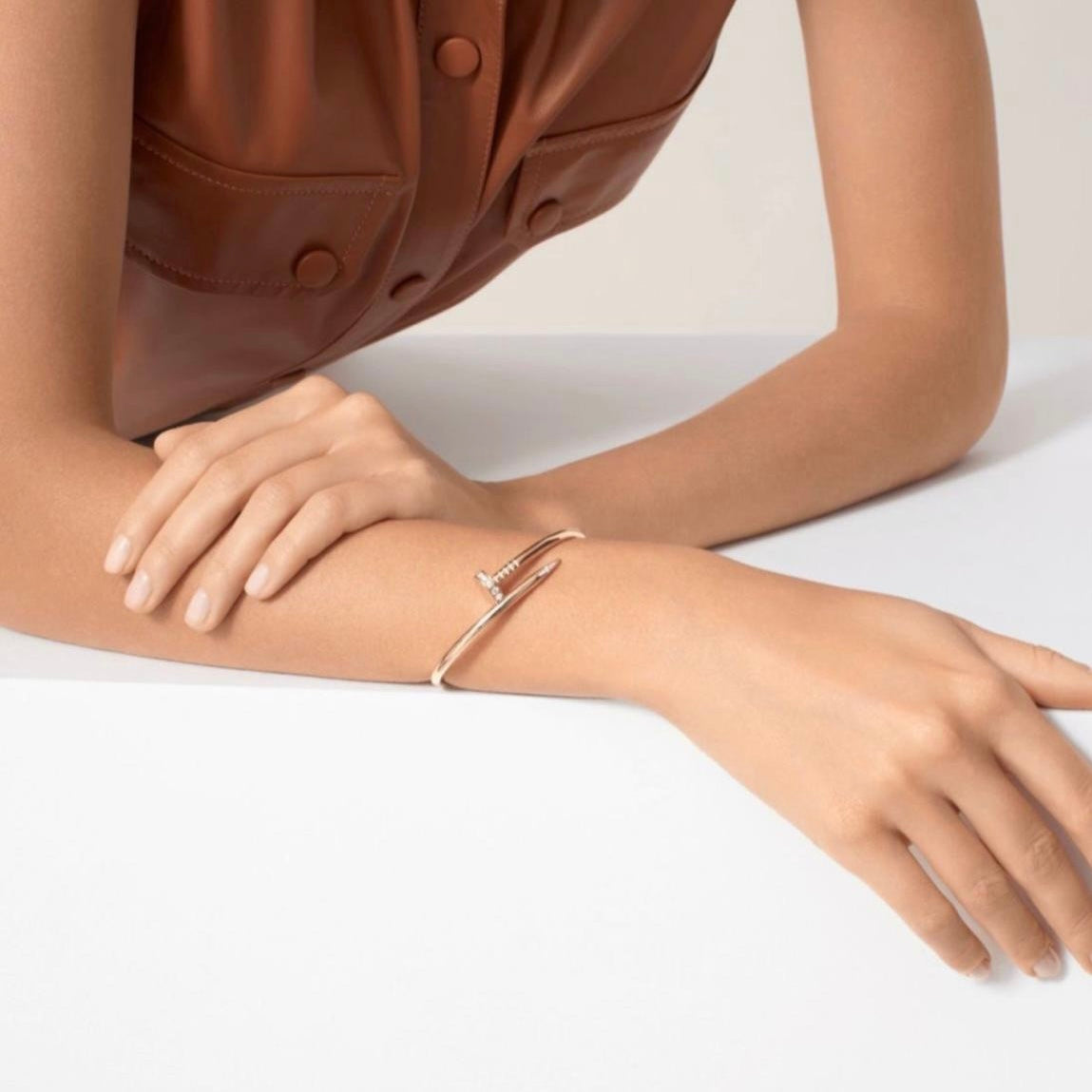 Cartier Accessories