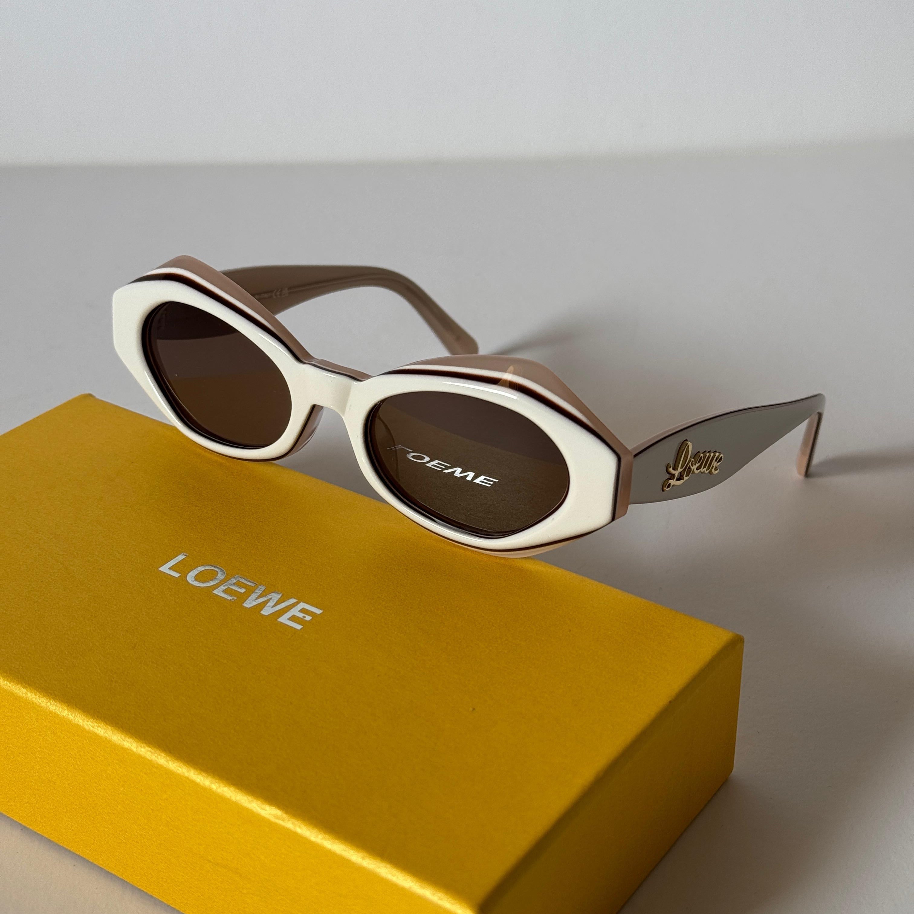 Loewe Paula's Ibiza Oval Acetate Sunglasses
