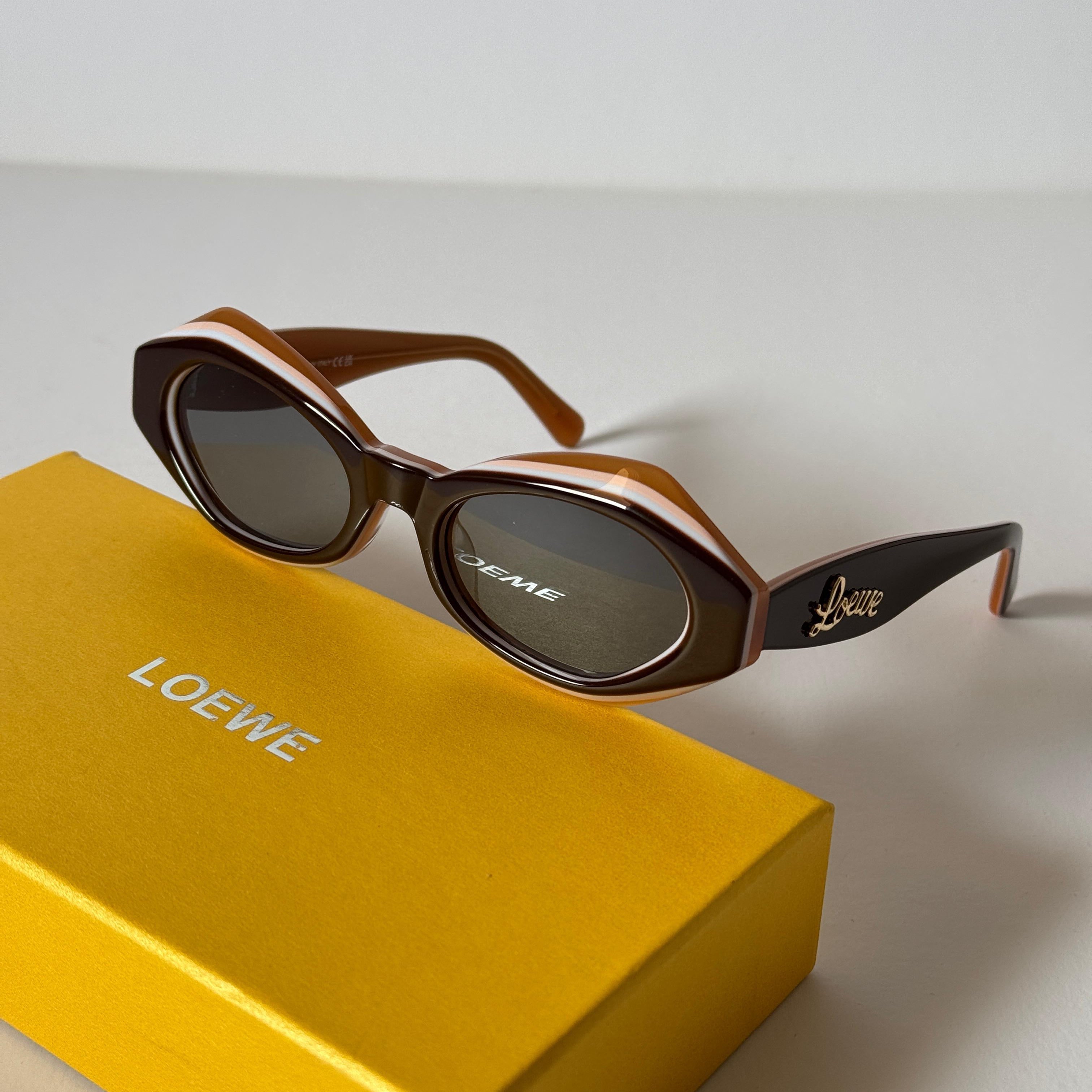 Loewe Paula's Ibiza Oval Acetate Sunglasses