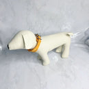 Regal Paws Collar