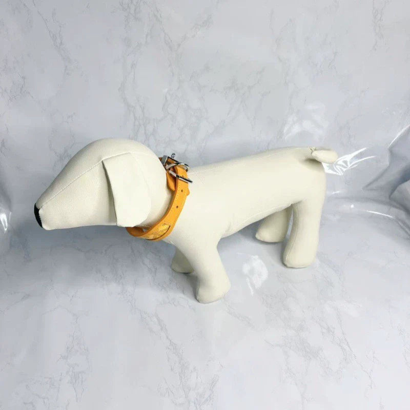 Regal Paws Collar