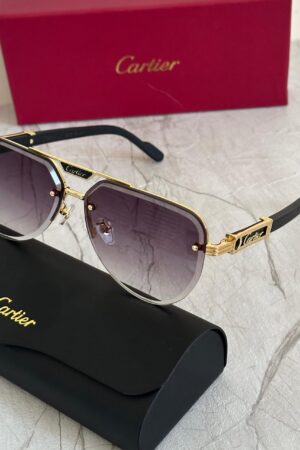 Cartier CT0065S Santos de Cartier Sunglasses