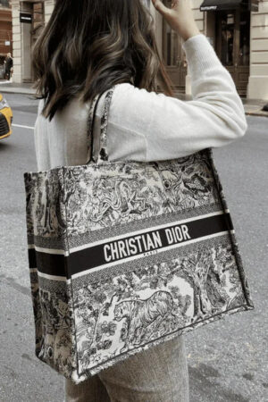 Large  Dior Book Tote Bag